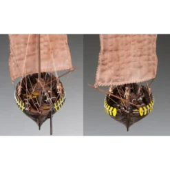 Maquette Bateau Viking Gokstad -Modèles Jouets Magasin dusek kits s050d002 viking gokstad 4