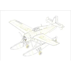 Maquette Avion Wildcatfish
