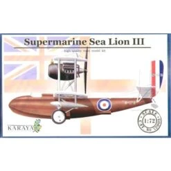 Maquette Avion Lion Marin III